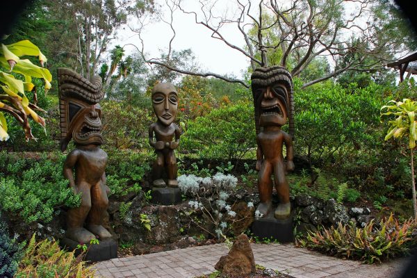 Experience Maui Culture. See the Tiki Wood Carving in the Beautiful Kula Botanical Garden Kula Maui Hawaii. 