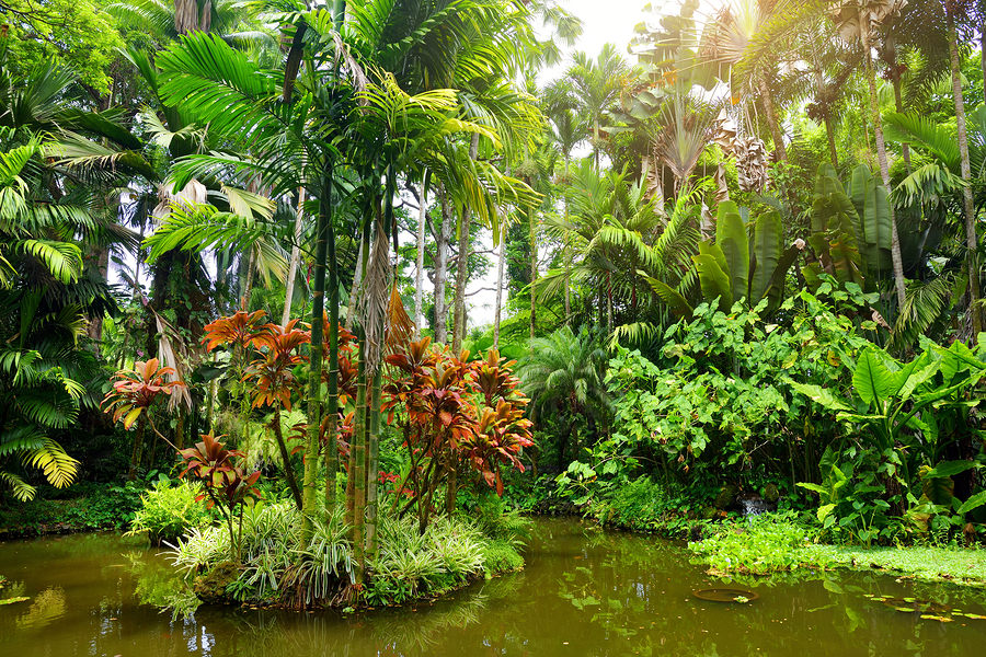 A Visit To Kahanu Garden Is Worth Your Time When Visiting Hana, Maui