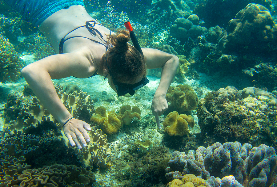 lady snorkeling in the hawaiian sea