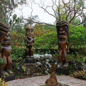 Tiki Wood Carving in the Beautiful Kula Botanical Garden Kula Maui Hawaii