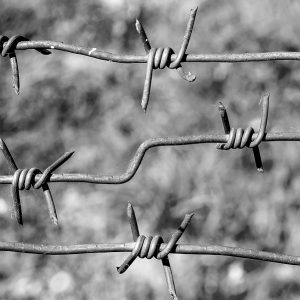 rusty barbed wire - concept of maui no go zone