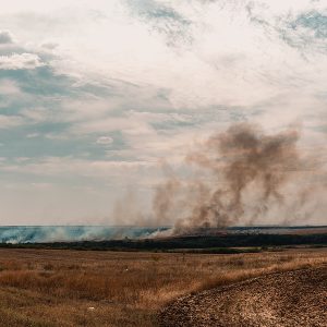 unsafe spots in Maui, wildfire, forest fire