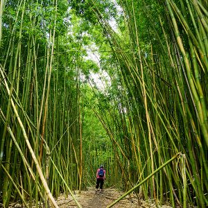 From Pipiwai Trail to Hana Bay: Stay at Hana Kai Maui Resort