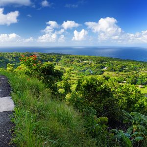 Local Attractions You Can’t Miss When Staying at Hana Kai Maui