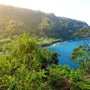 Things to Do at Hana Bay A Step-by-Step Guide to Enjoying Hana’s Tranquil Waters